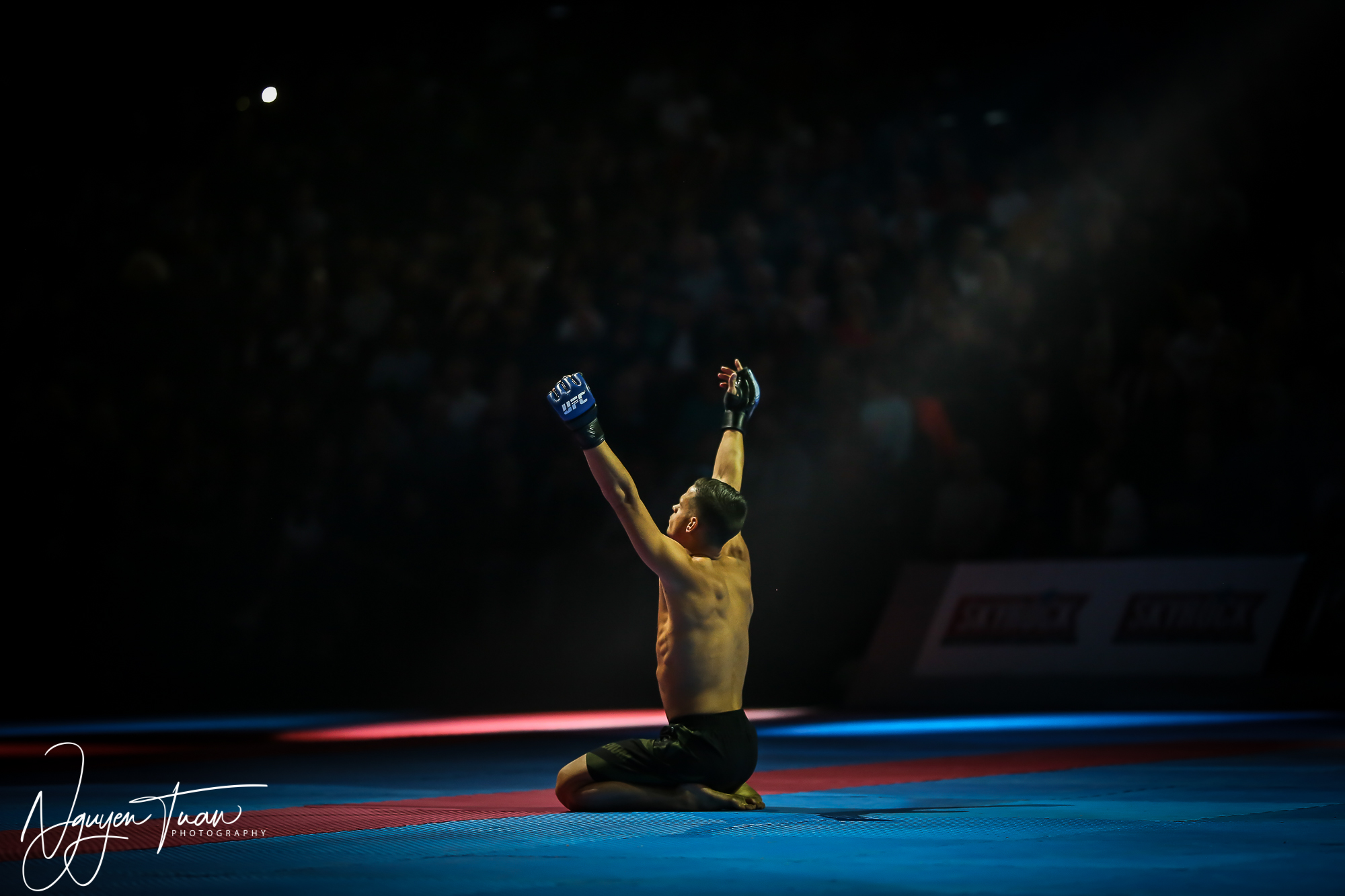 20190324 Festival des Arts Martiaux 5089